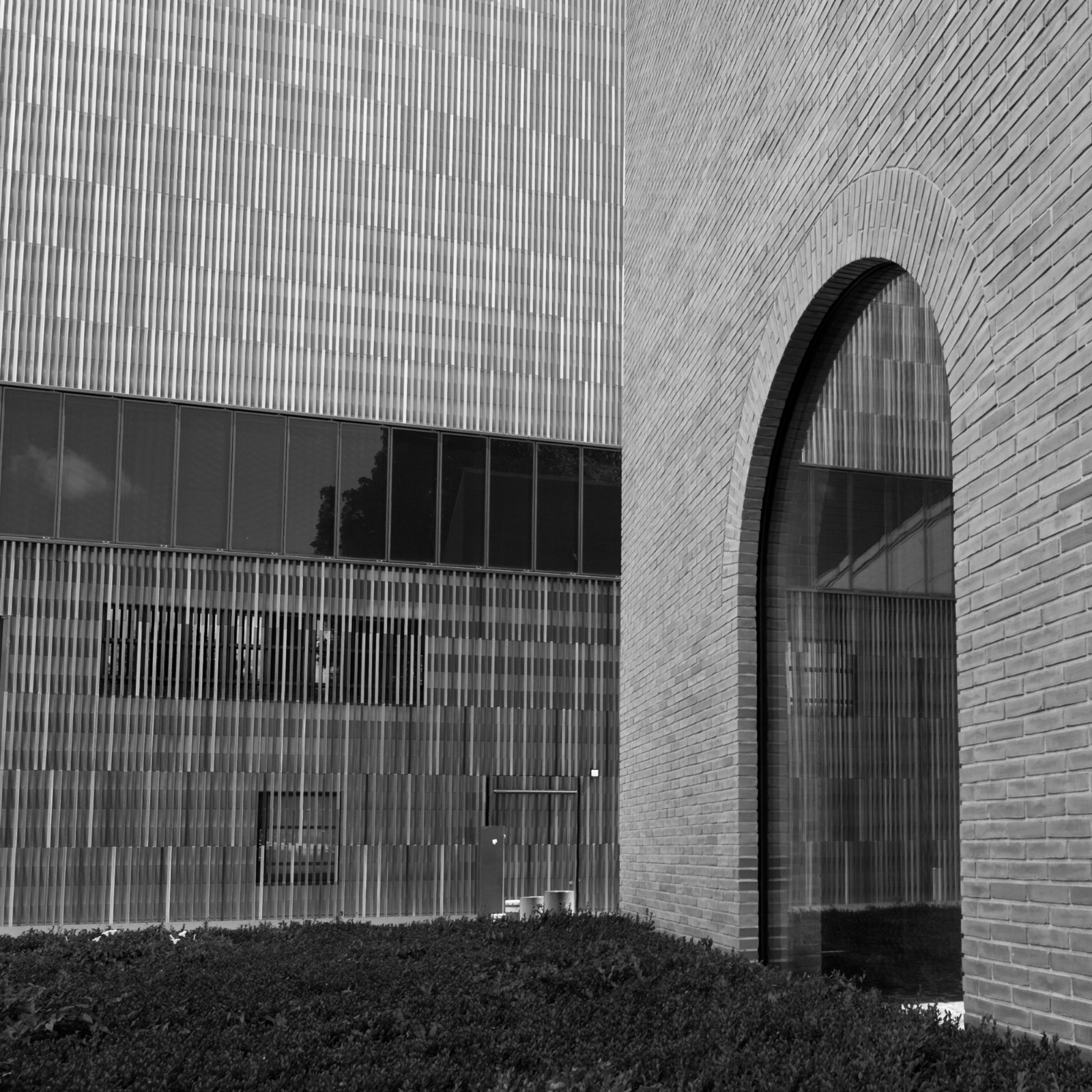 Foto Angela Dorner 0277